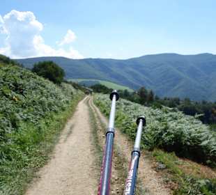 Abstieg nach Triacastelo