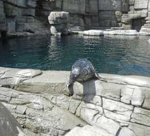 Tierpark Hagenbeck