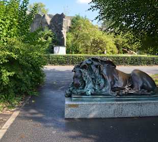 Zoo