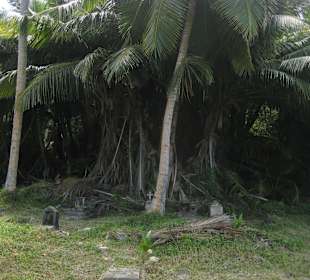 Auf dem Weg nach Ramasse Tout