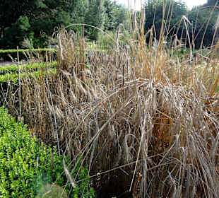 Abteilung für Nutzpflanzen im Botanischen Garten