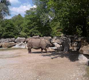  Tierpark Hellabrunn