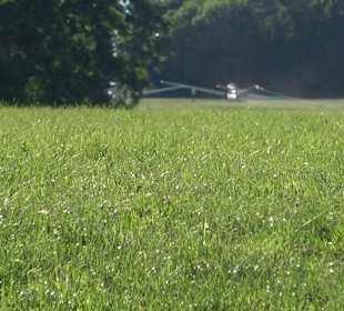 Burgruine Andeck Talheim