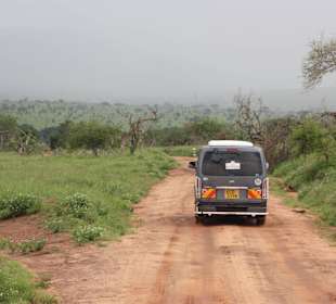 So sieht es aus in Tsavo West