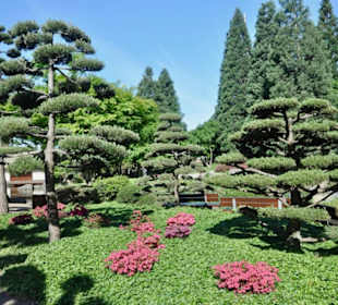 Japanischer Garten