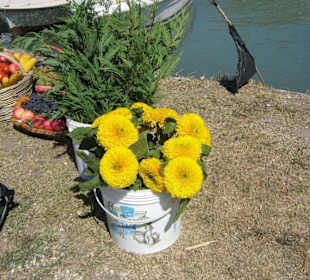 Colori di fine estate