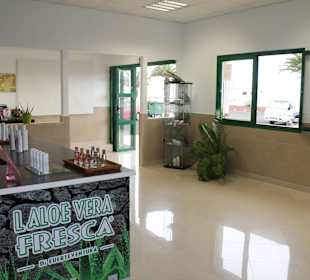 Aloe Vera Infocenter Lanzarote - Yaiza