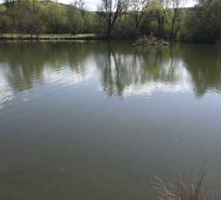 Sport- und Freizeitpark Markwasen
