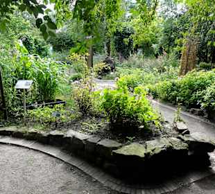 Rundgang durch den Botanischen Garten Oldenburg