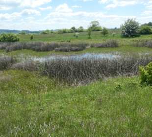 Eindruck vom Spaziergang Ostheimer Streifberg-Tour