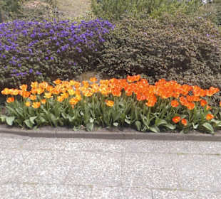 Weltvogelpark Walsrode