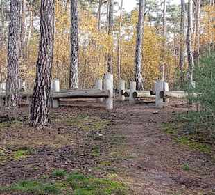 Am Ameisenpfad Schermbeck