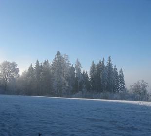 Sneeuw op de Uetliberg