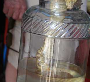 Kurzer Abstecher nach Laos