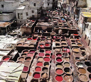 Tratamiento de cuero