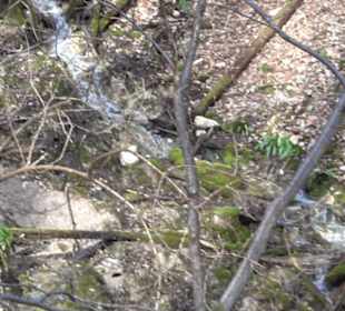 WasserfallsteigWasserfallsteig
