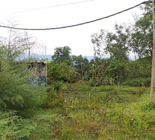 Wildlife Expeditions