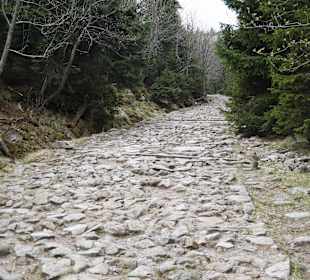Berg Schneekoppe/Śnieżka