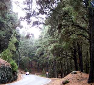 Herrliche Autostrecke