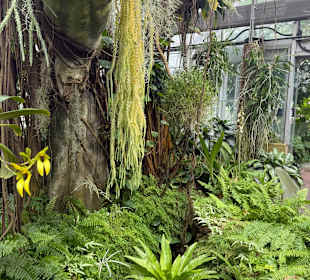 Botanischer Garten in Washington 