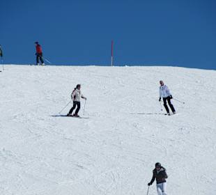 Bestes Skigebiet