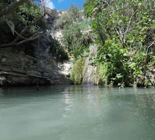 Der legendäre Baumstamm mit Seil