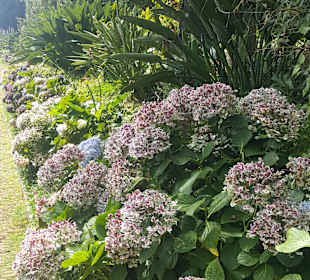 Monte Palace Tropical Garden