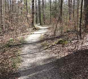 Waldsportpfad im Wasenwald