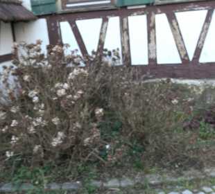 Historisches Wohnhaus