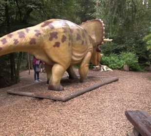 Dinosaurier Museum Altmühltal