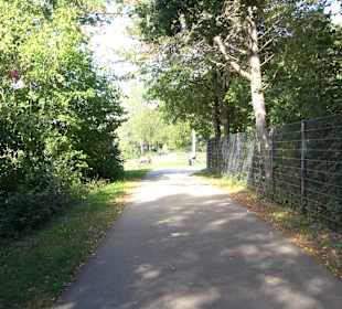 Schaukelweg an der Donau