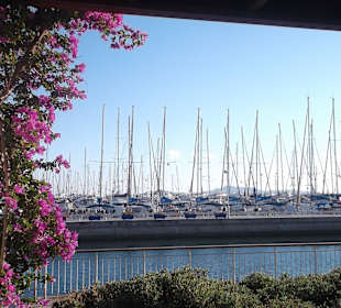 Am Hafen in Turgutreis
