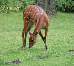 Serengeti Park Hodenhagen