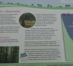 Erlebnisbauernhof und Wildgehege