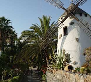 Restaurant Molino Blanco