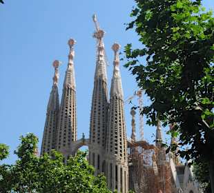 Katedra Sagrada Familia