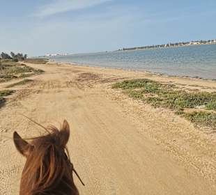 Wandern Midoun