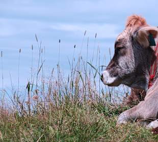 Wandern Hermagor - Pressegger See