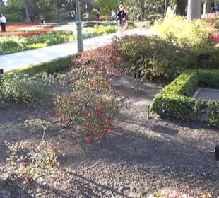 Real Jardín Botánico de Madrid