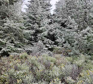 Wandern Oberwiesenthal