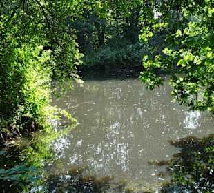 Sommer-Impressionen aus dem Park Links der Weser