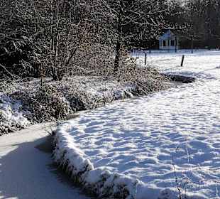 Winterspaziergang durch den Bürgerpark