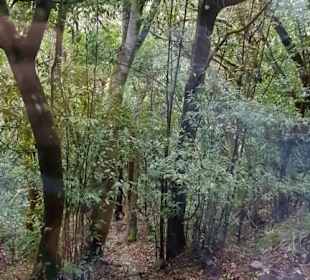 Landschaft von La Gomera