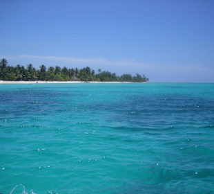 Isla Saona