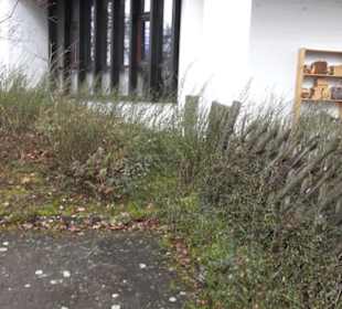 Evangelische Stephanusgemeinde