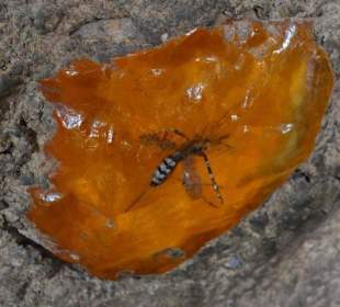 Universal Studios Sentosa