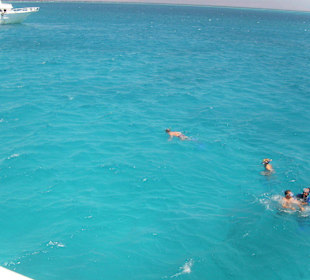 Schnorcheln und Tauchen