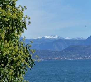 Blick vom Strand zum Monte Baldo