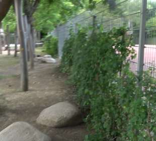 Spielplatz Heckenrosenweg Gülstein