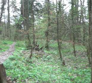 Wanderung rund um das Rusenschloss Gerhausen